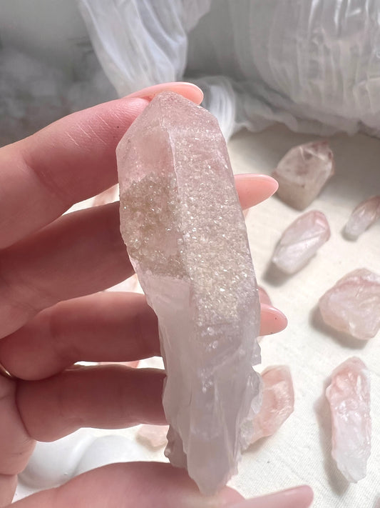 Pink Dreamsicle Cluster