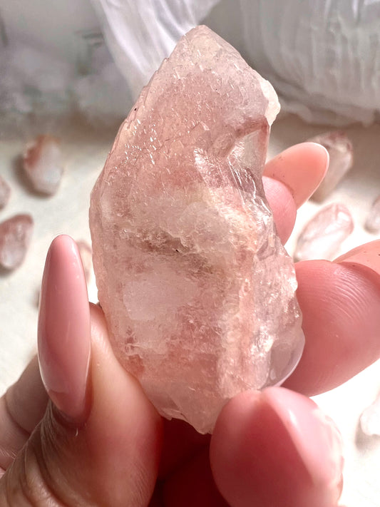 Pink Dreamsicle -10M