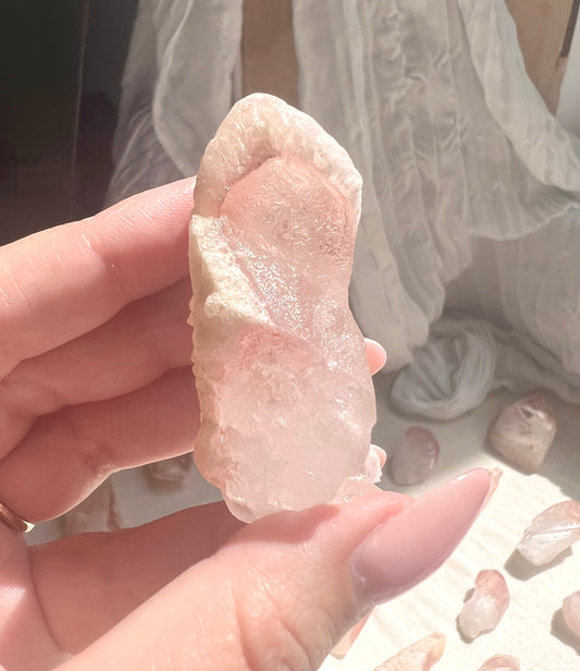 Pink Dreamsicle - 12A