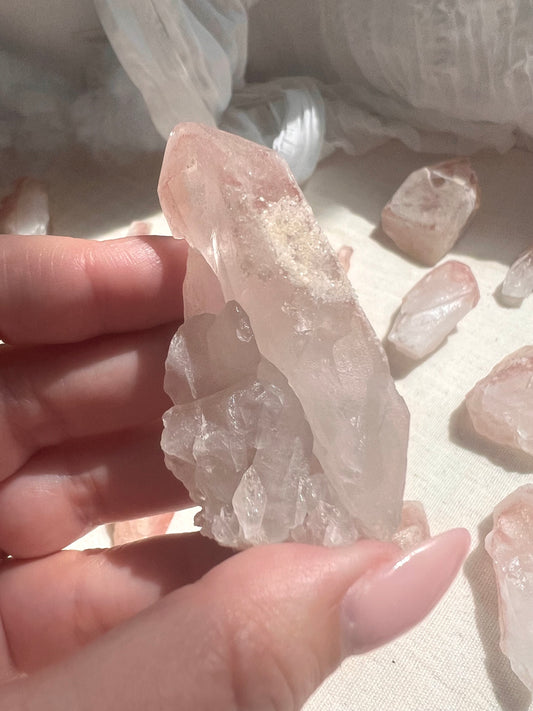 Pink Dreamsicle Cluster