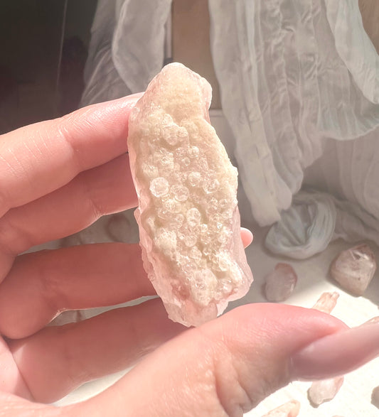 Pink Dreamsicle - 12A