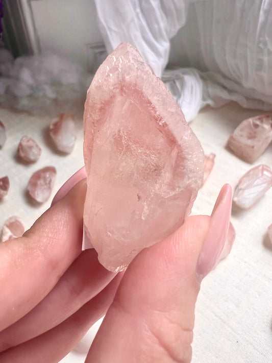 Pink Dreamsicle -10M