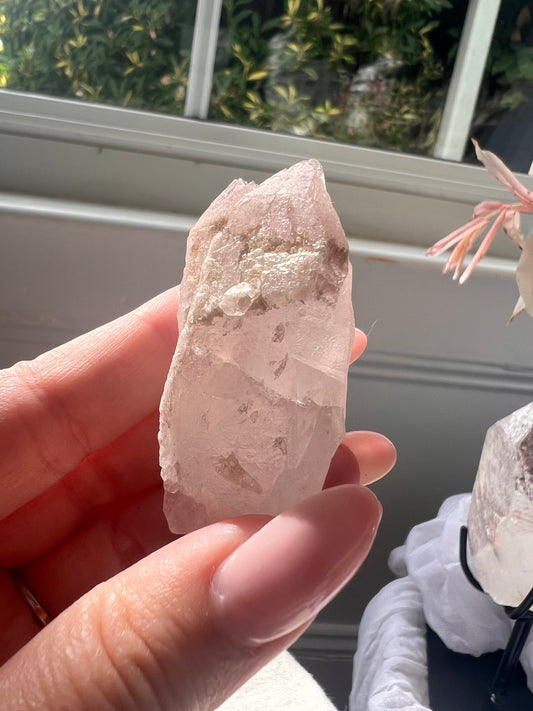 Smaller Twin Pink Dreamsicle - 12G