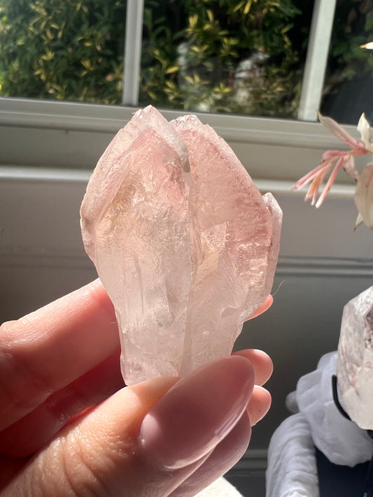 Smaller Twin Pink Dreamsicle - 12G