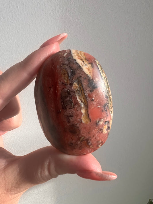 Peruvian Strawberry Pink Opal Palm