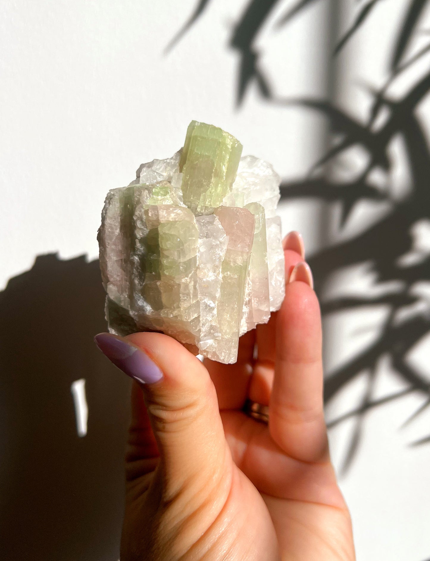 Pastel Watermelon Tourmaline